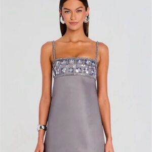 ISO Retrofete LARK EMBROIDERED DRESS